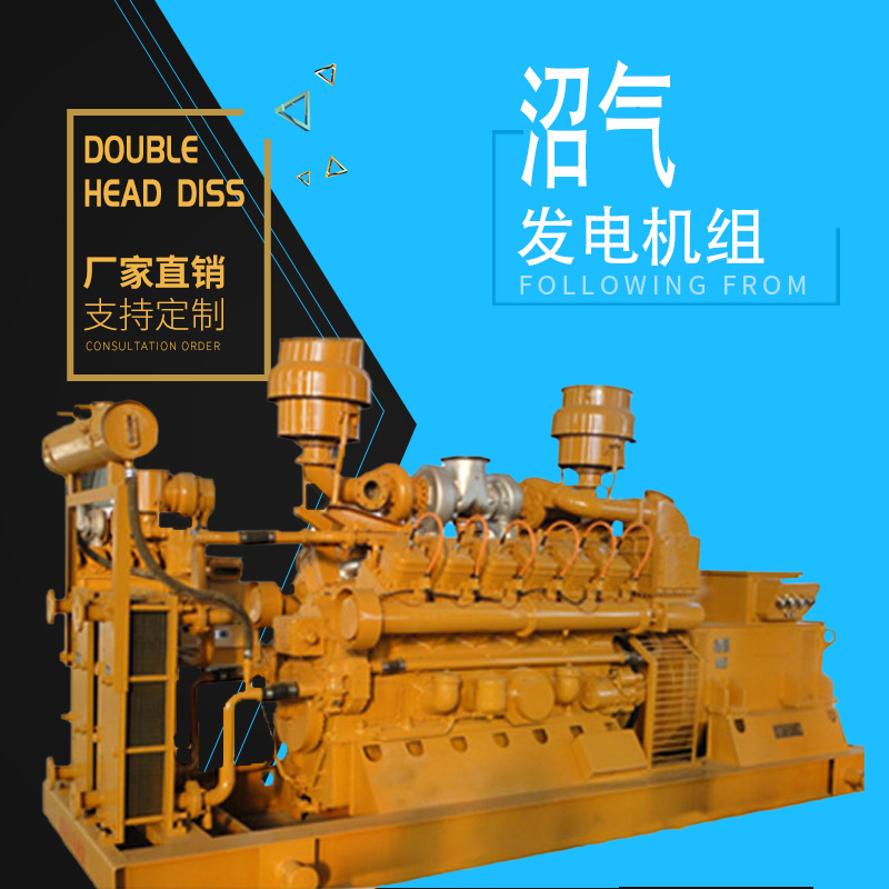 哪些方麵決定（dìng）了沼氣發電機組的價格？