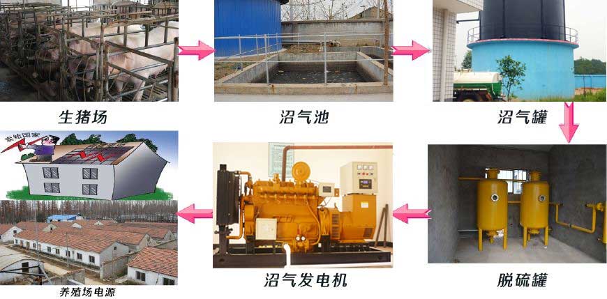 養豬（zhū）場該選擇（zé）多大功率的沼氣發電機組（zǔ）